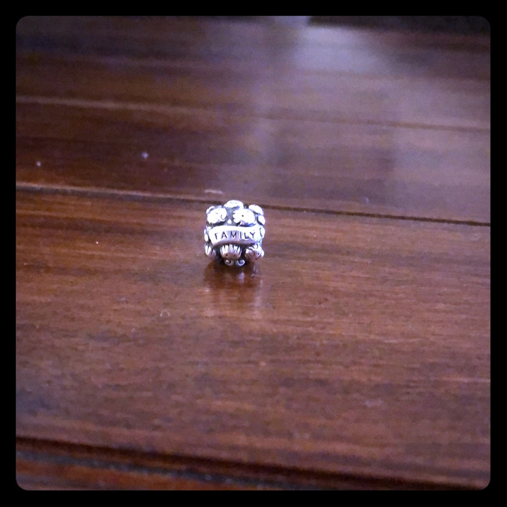 Pandora “family” bead